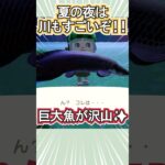 夏の夜は川で巨大魚釣りだ！【あつ森】 #Shorts #あつ森