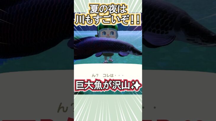 夏の夜は川で巨大魚釣りだ！【あつ森】 #Shorts #あつ森