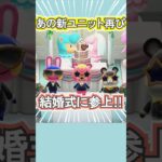 あの新ユニットが再び集合！笑【あつ森】 #Shorts #あつ森