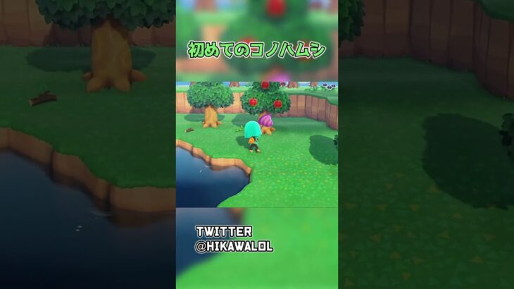 初めて出会ったコノハムシが恐ろしすぎる… #Shorts #あつ森