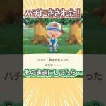 ハチにさされてそのままにしてたら…！【あつ森】 #Shorts #あつ森