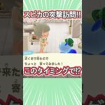 衝撃！スピカの突撃訪問！【あつ森】 #Shorts #あつ森