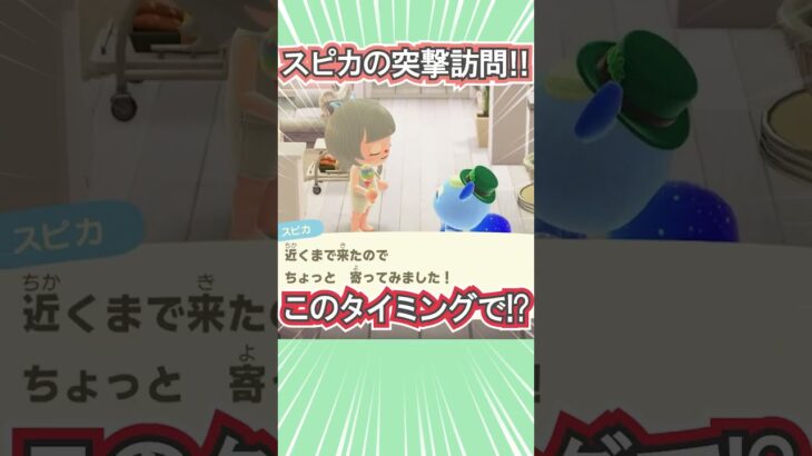 衝撃！スピカの突撃訪問！【あつ森】 #Shorts #あつ森
