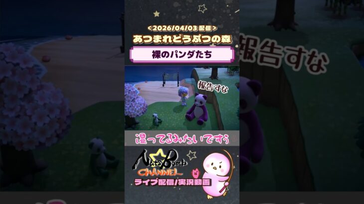 【あつ森】フレンドさんの島で出会ったパンダ達 #Shorts