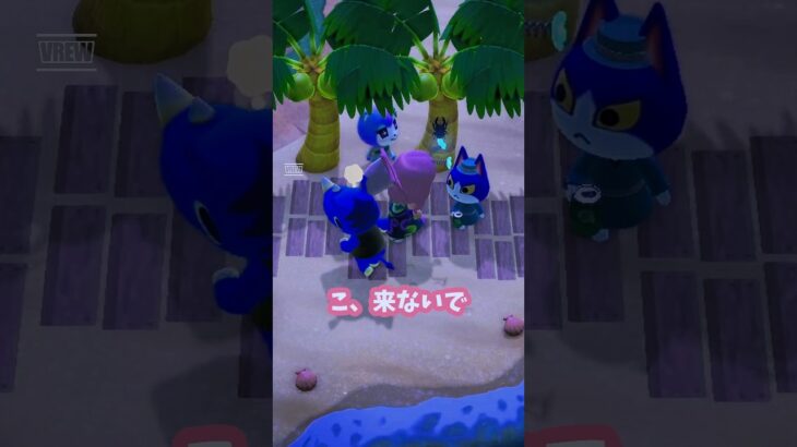 【あつ森】虫取り中、住民に邪魔された結果…最後は👏 #Shorts