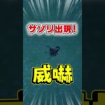 サソリ出現！威嚇されても負けない！ #Shorts #あつ森 #あつまれどうぶつの森 #AnimalCrossing #ゲーム実況 #切り抜き