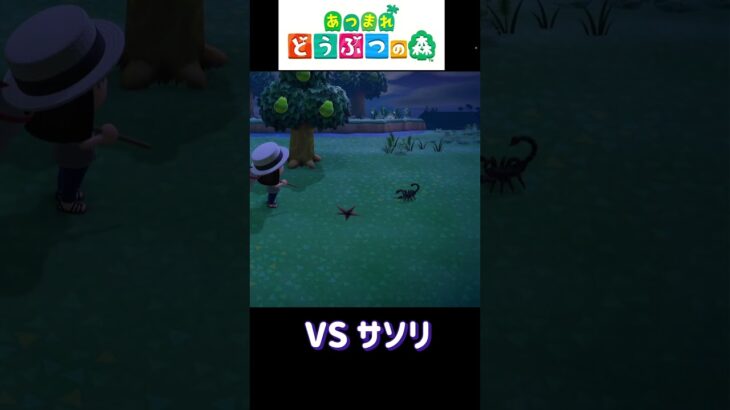 【あつ森】VSサソリ #あつまれどうぶつの森 #あつ森