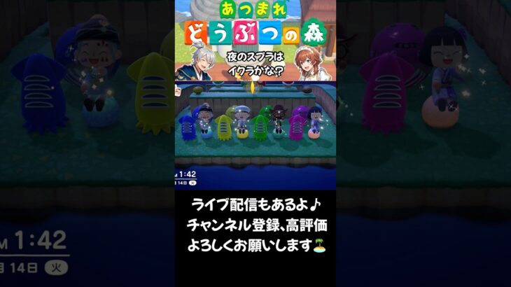 【あつ森】夜のスプラはイクラかな？ #acnh #animalcrossing #shorts #あつ森 #あつまれどうぶつの森