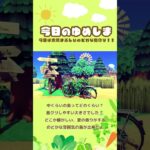 今日のゆめしま🏖️ #あつ森 #あつまれどうぶつの森 #acnh #animalcrossingnewhorizons