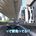 教習車に撒かれる教官 #あつ森 #animalcrossing #あつまれどうぶつの森