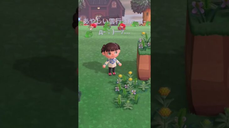 定番ですが( ˊᵕˋ ;) #あつ森 #あつまれどうぶつの森 #animalcrossing
