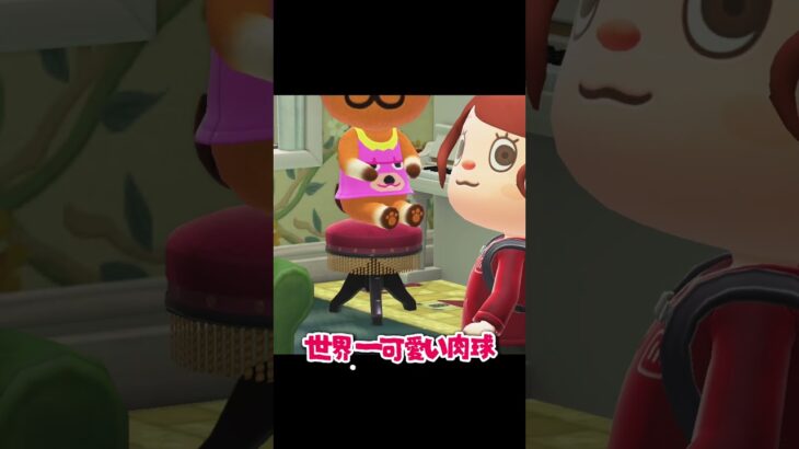ジョンの家にドカンでワープしたい！ #あつ森 #あつまれどうぶつの森 #ゲーム #animalcrossing
