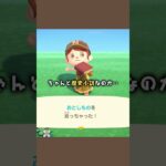 【あつ森】ジョン‥また？ #あつ森 #あつまれどうぶつの森 #ゲーム #animalcrossing