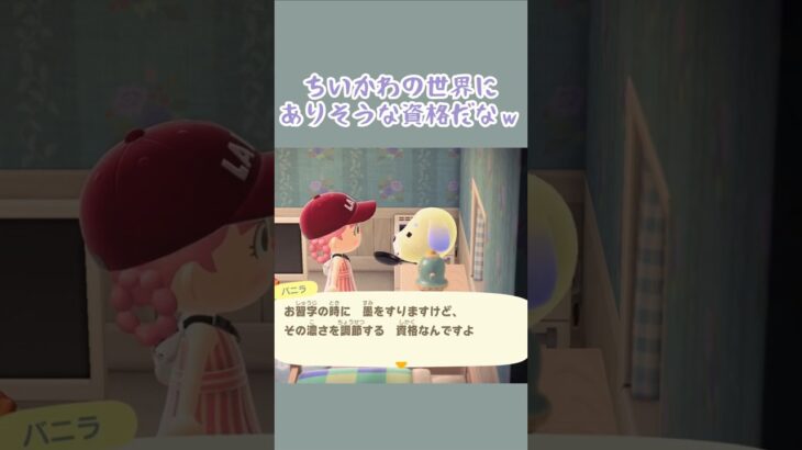 墨汁アドバイザーの資格を取りたいバニラちゃん #あつ森 #あつまれどうぶつの森 #ゲーム #どうぶつの森 #animalcrossing #acnh #shorts