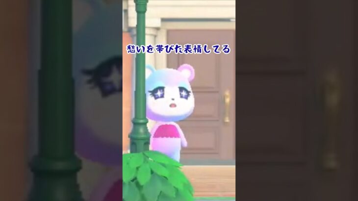 初めて見る表情 #あつ森 #あつまれどうぶつの森 #ゲーム #どうぶつの森 #animalcrossing #acnh #shorts #animalcrossingnewhorizons