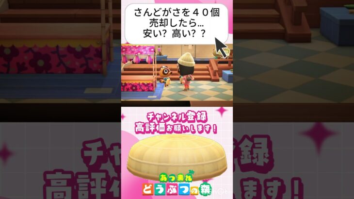 『 #あつ森』簡単な材料で作れるさんどがさー４０個作って売却してみたら果たしていくらに？？ #あつまれどうぶつの森　#animalcrossing  #shorts #short  #ゲーム実況