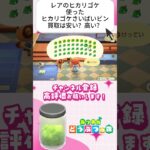 『 #あつ森』ヒカリゴケのさいばいビン４０個作って売却してみたら果たしていくらに？？ #あつまれどうぶつの森　#animalcrossing  #shorts #short  #ゲーム実況