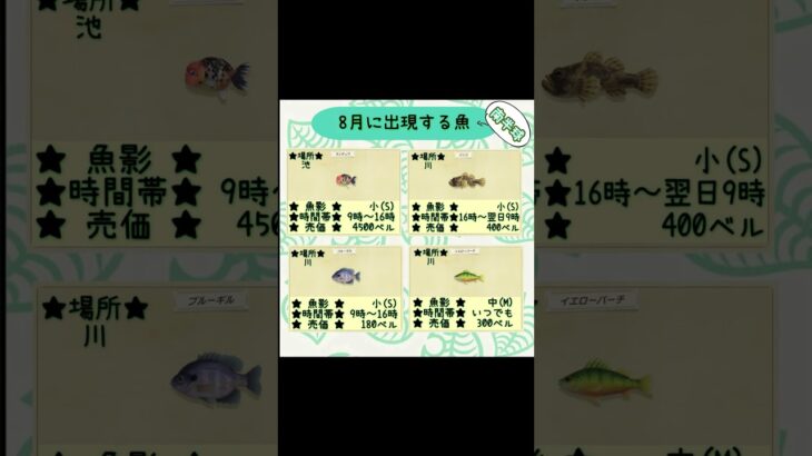 #あつまれどうぶつの森 #あつ森 #animalcrossing #ゲーム#switch #チャンネル登録と高評価お願いします