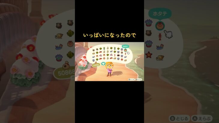 #あつまれどうぶつの森 #あつ森 #animalcrossing #ゲーム実況 #switch #チャンネル登録と高評価お願いします