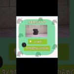 #あつまれどうぶつの森 #あつ森 #animalcrossing #ゲーム #switch #チャンネル登録と高評価お願いします