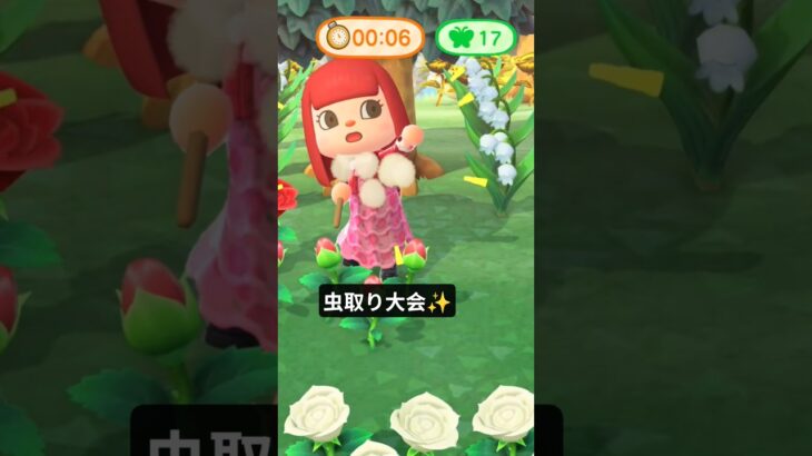 最後の追い込み…！！！#あつ森 #animalcrossing #switch #任天堂 #ゲーム#daily#animal#switch2#gaming  #vlog #cute #games