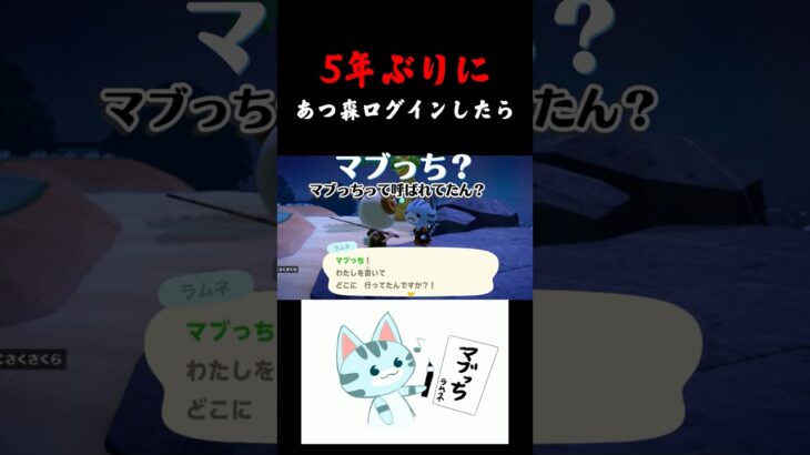 忘れてることだらけ#animalcrossingnewhorizons #あつ森