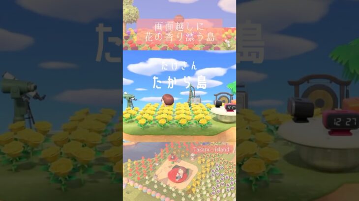 花の香り漂う、カラフルな島🏝️ #あつ森 #animalcrossingnewhorizons #ACNH #夢番地 #夢見訪問 #あつまれどうぶつの森 #島訪問 #島散歩 #花