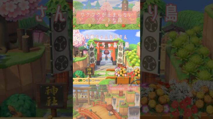 ワクワクが止まらない宝箱のような島🏝️ #あつ森 #animalcrossingnewhorizons #ACNH #夢番地 #夢見訪問 #あつまれどうぶつの森 #島訪問 #島散歩 #リゾート
