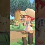 早起きした日の朝☕️☀️ #animalcrossingnewhorizons #animalcrossing #あつ森 #あつまれどうぶつの森 #vlog
