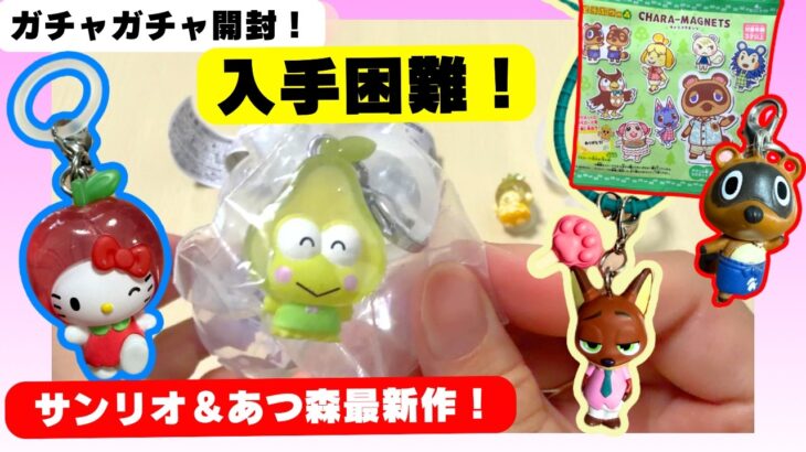 【入手困難】見つけたら絶対確保！サンリオくだもの＆あつ森最新ガチャを全開封！ディズニー/パペットスンスン/めじるしアクセサリー/カプセルトイ/capsuletoyほか 8月#5