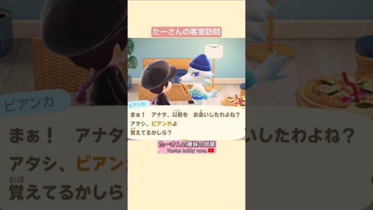 【あつ森】ビアンカさん再び宿泊に@たーさんの趣味の部屋 #たーさんの客室訪問#あつ森ビアンカ #mochachan島 #youtubeshorts