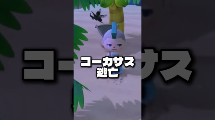 まさかの結果に。#あつ森 #nintendo