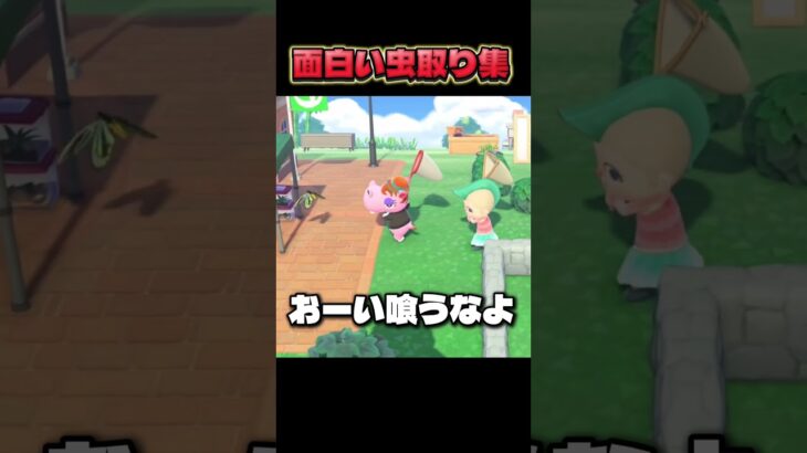 バグ虫捕り #あつ森#nintendo