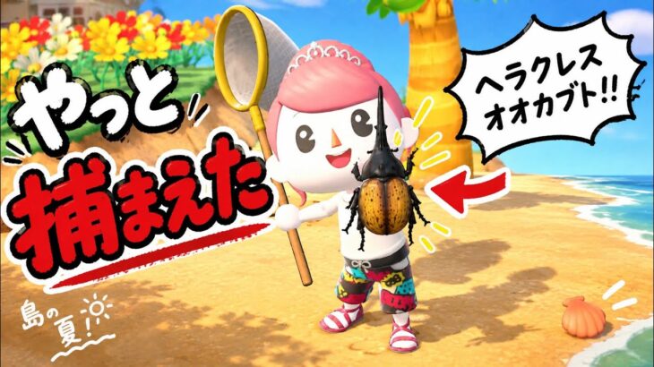 【あつ森】夏が来た。虫を取ろう！　part.１２