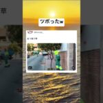 あつ森#short#Twitter#reel#バズ#犬#動物#おすすめに乗りたい#あつ森