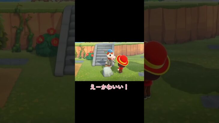 ピジョンミルクはいつも入れる派☕️ 【あつ森】 #shorts #あつ森 #ゲーム実況
