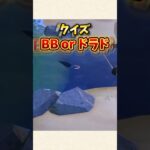 【あつ森】クイズ！ブラックバスなのかドラドなのか！？【あつまれどうぶつの森】#shorts #あつ森