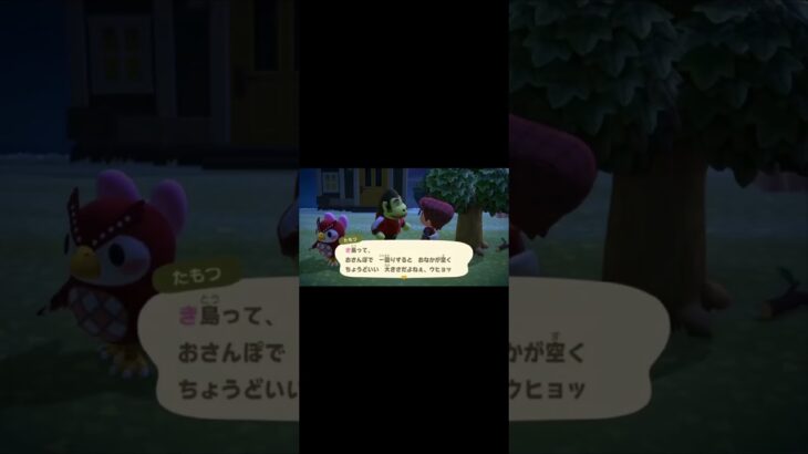 何を言うてますの【あつまれどうぶつの森】#あつ森 #shorts #ゲーム実況