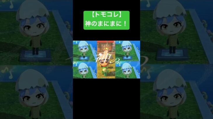 【トモコレ】神のまにまに！#あつ森 #トモコレ #トモダチコレクション  #トモダチコレクションわくわく生活 #トモコレ新生活  #トモコレ新生活   #shorts  #ニンテンドー