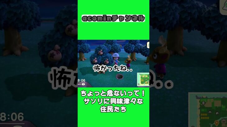 【あつ森】ちょっと危ないって！サソリに興味津々な住民たち |shorts