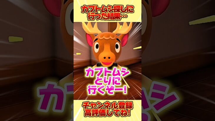 カブトムシ探しに行った結果、、カブトムシは見つかるのか！？ #あつ森 #あつまれどうぶつの森 #shorts