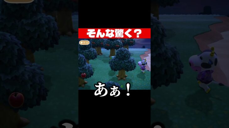 そんな驚く？ #あつ森 #shorts