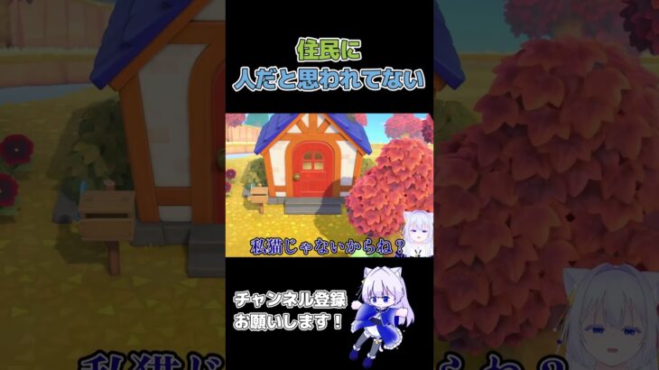猫耳はアクセサリーです！ #あつ森  #ゲーム実況 #ゲーム #切り抜き #shorts