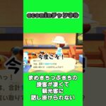 【あつ森】まめきちつぶきちの接客が凄くて観光客に話し掛けられない |shorts