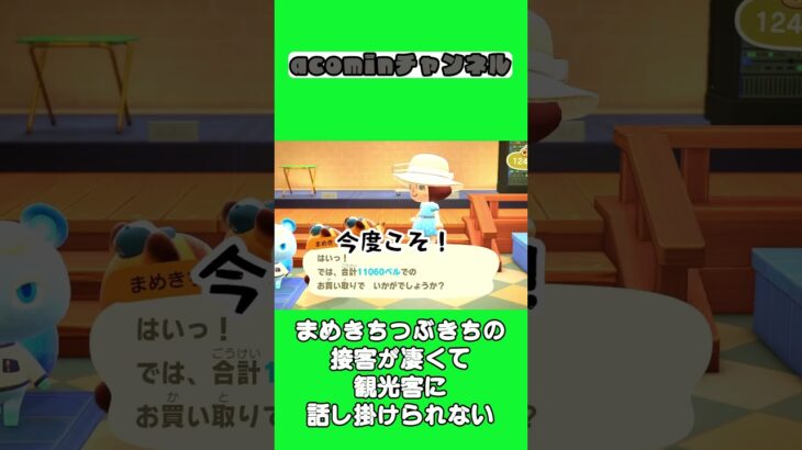 【あつ森】まめきちつぶきちの接客が凄くて観光客に話し掛けられない |shorts