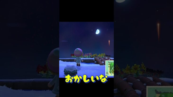 違和感たっぷり花火大会 #ゲーム実況 #あつ森 #あつまれどうぶつの森 #shorts