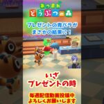 【祝】チャーミーにバラをプレゼントしたらまさかの結果に #あつ森 #あつまれどうぶつの森 #島クリ #shorts