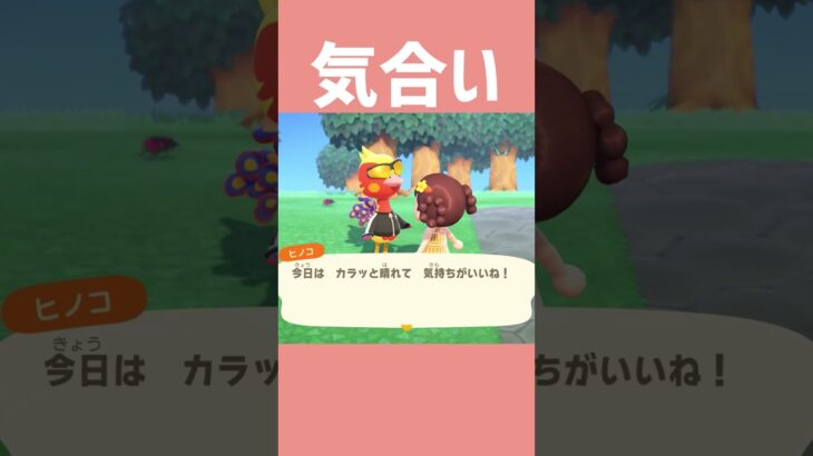 【あつ森】夏ってテンション上がるからね！ #あつまれどうぶつの森 #あつ森 #ゲーム #shorts