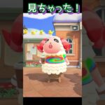 ちゃちゃまるの秘密！ # #あつ森 #あつまれどうぶつの森 #ゲーム実況 #shorts