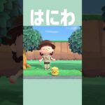 [あつ森]今日のはにわ #あつまれどうぶつの森 #ゲーム #shorts